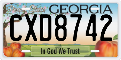 GA license plate CXD8742
