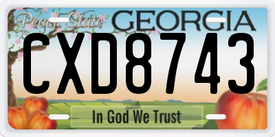 GA license plate CXD8743