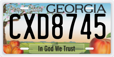GA license plate CXD8745