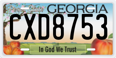 GA license plate CXD8753