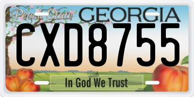 GA license plate CXD8755