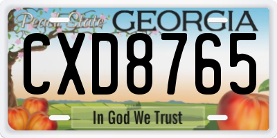GA license plate CXD8765
