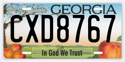 GA license plate CXD8767