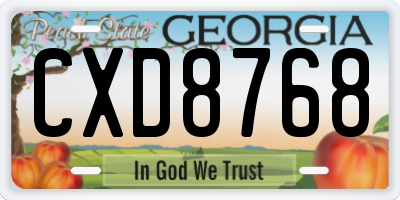GA license plate CXD8768