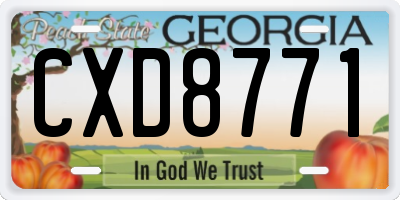 GA license plate CXD8771