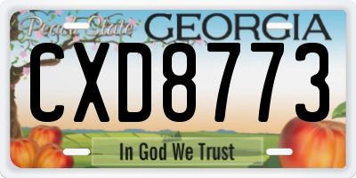 GA license plate CXD8773