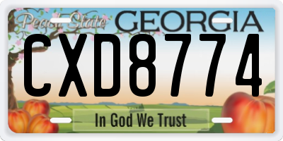 GA license plate CXD8774