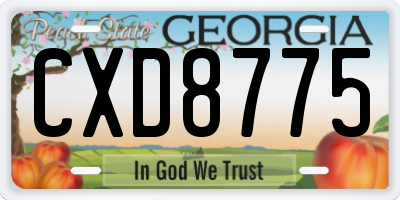 GA license plate CXD8775