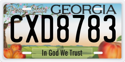 GA license plate CXD8783