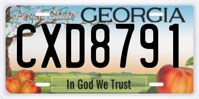 GA license plate CXD8791