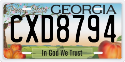 GA license plate CXD8794
