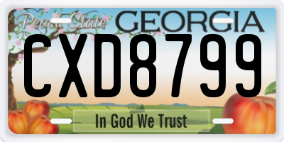 GA license plate CXD8799