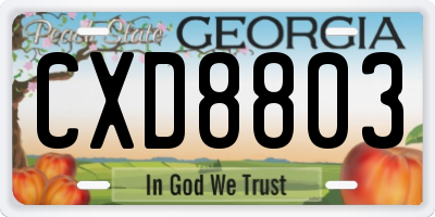 GA license plate CXD8803