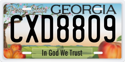 GA license plate CXD8809