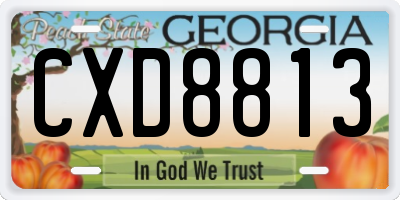GA license plate CXD8813