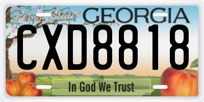GA license plate CXD8818