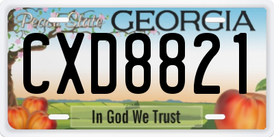 GA license plate CXD8821