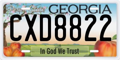 GA license plate CXD8822
