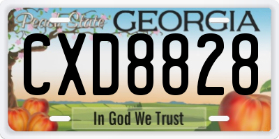 GA license plate CXD8828