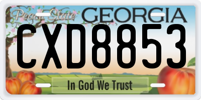 GA license plate CXD8853