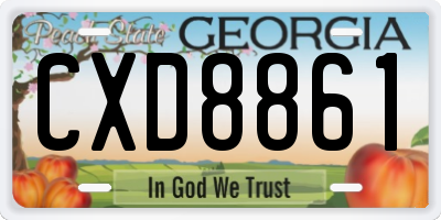 GA license plate CXD8861
