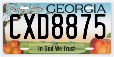GA license plate CXD8875