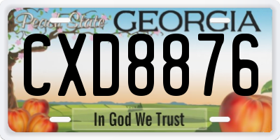 GA license plate CXD8876