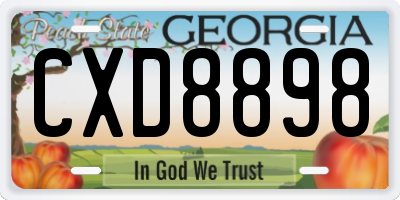 GA license plate CXD8898
