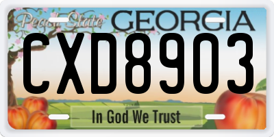 GA license plate CXD8903