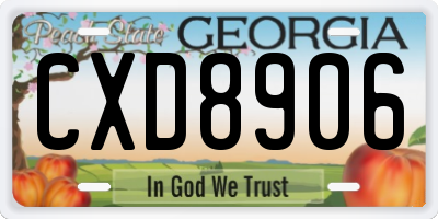 GA license plate CXD8906