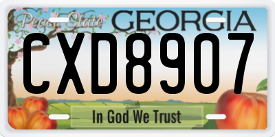 GA license plate CXD8907