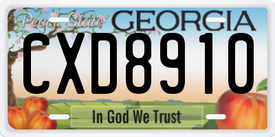 GA license plate CXD8910