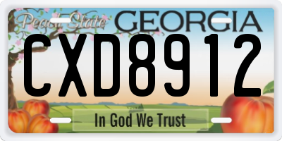 GA license plate CXD8912