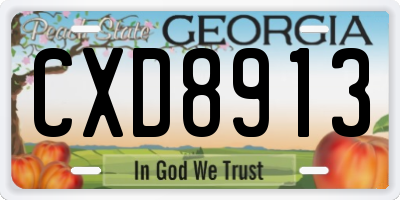 GA license plate CXD8913