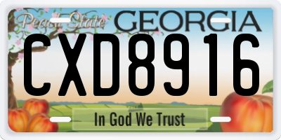 GA license plate CXD8916