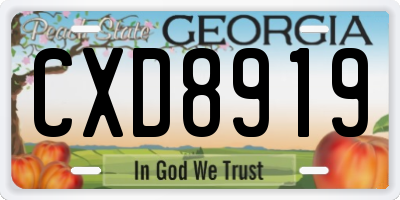 GA license plate CXD8919