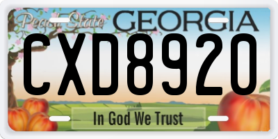 GA license plate CXD8920