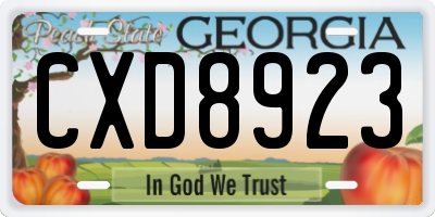 GA license plate CXD8923