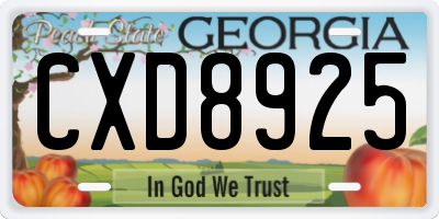 GA license plate CXD8925