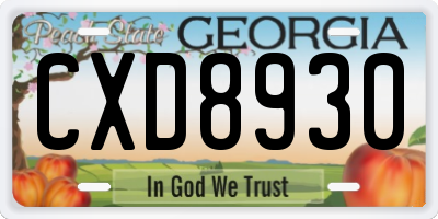 GA license plate CXD8930