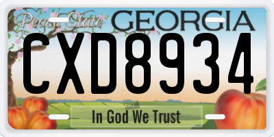 GA license plate CXD8934