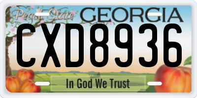 GA license plate CXD8936