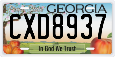 GA license plate CXD8937