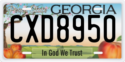 GA license plate CXD8950