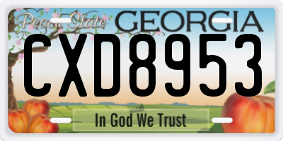 GA license plate CXD8953