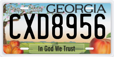 GA license plate CXD8956