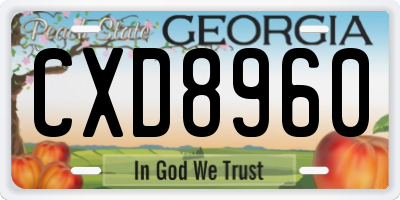 GA license plate CXD8960