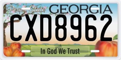 GA license plate CXD8962