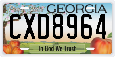 GA license plate CXD8964