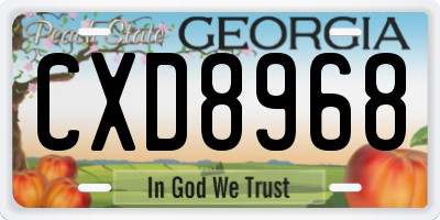 GA license plate CXD8968